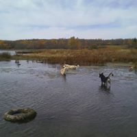 Julie Nordstrom Photo 32
