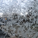 Megan Frost Photo 8