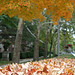 Gregory Hall Photo 33