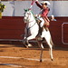 Santos Cavazos Photo 16