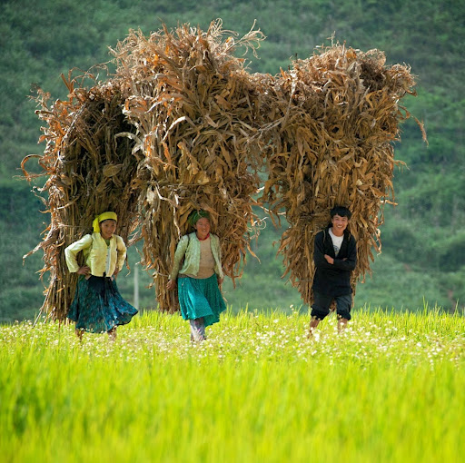 Thang Hoang Photo 28
