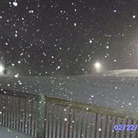 Brandy Delong Photo 7