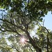 Phyllis Mills Photo 14