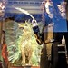 Judith Goodman Photo 16