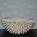 Josephine Clay Photo 15