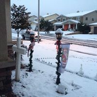 Lisa Jacobs Photo 35