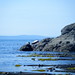 Allan Burrow Photo 5