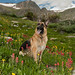 Betty Rollins Photo 9