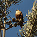 Catherine Falcon Photo 24