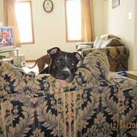 Tammy Alexander Photo 9