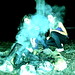 Sarah Seabolt Photo 14