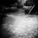 Diana Hughes Photo 8