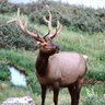 Mark Hinman Photo 11