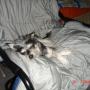 Joseph Ko Photo 22