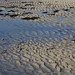 Sandy Marks Photo 24