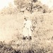 Lorene Davidson Photo 6