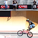 Allen Cook Photo 10