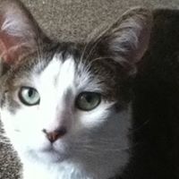 Melissa Swander Photo 4