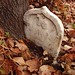 Melissa Stone Photo 12