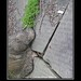 Mathew Root Photo 9