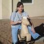 Susan Vasquez Photo 24