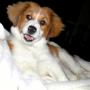 Martha Bradshaw Photo 27