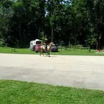 Rhonda White Photo 28
