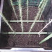Vicki Binning Photo 8