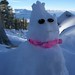 Andrea Snow Photo 20