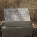 Thomas Todd Photo 17