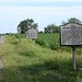 Henry Burns Photo 21