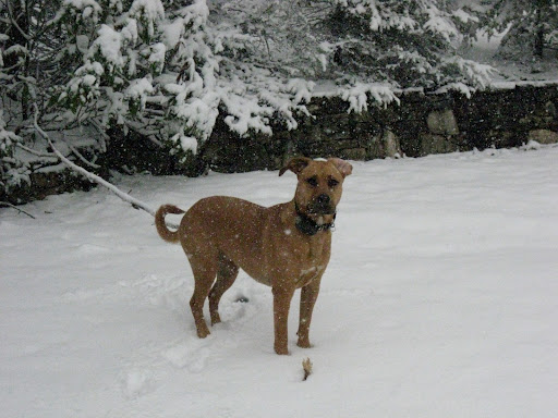 Tracy Aiken Photo 1