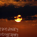 Steve Waddell Photo 39