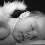 Debra Long Photo 28