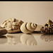 Csaba Ko Photo 2