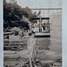 Marie Robertson Photo 15