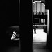 Joseph Luce Photo 17