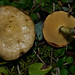 Jack Bragg Photo 5