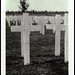 Joyce Graves Photo 11