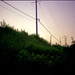 An Vu Photo 44