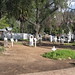Jose Estudillo Photo 6