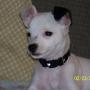 Karen Wheeler Photo 42