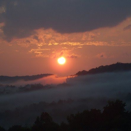 Susan Blalock Photo 21