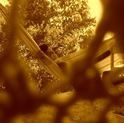 Daniel Rohde Photo 9