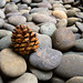 Brian Cone Photo 11