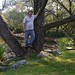 David Trees Photo 8