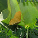 Joseph Huebner Photo 8