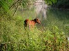 Patricia Hart Photo 19