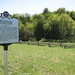 Andrew Erwin Photo 11