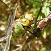 Milton Hunt Photo 12